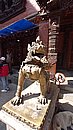 20221103_110613.JPG