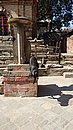 20221103_115025.JPG