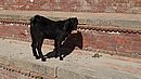 20221103_115038.JPG