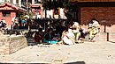 20221103_115219.JPG