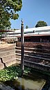 20221103_123216.JPG