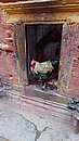 20221104_115640.JPG
