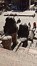 20221104_125700.JPG