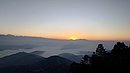 20221105_061924.JPG