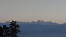 20221105_061945.JPG