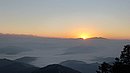 20221105_062102.JPG