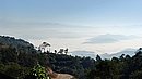 20221105_081921.JPG