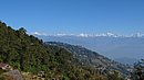 20221105_084756.JPG