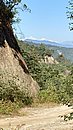 20221105_093923.JPG