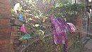 20221106_093434.JPG