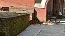 20221106_095209.JPG
