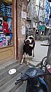 20221106_153242.JPG