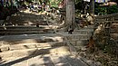 20221107_094153.JPG