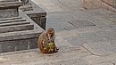 20221107_100427.JPG