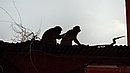 20221107_100525.JPG