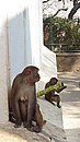 20221107_100539.JPG