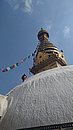 20221107_104049.JPG