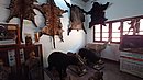 20221107_111139.JPG