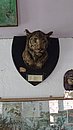 20221107_111239.JPG