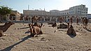 20221123_142106.JPG