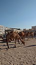 20221123_142150.JPG
