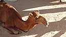 20221123_142345.JPG
