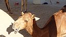 20221123_142426.JPG
