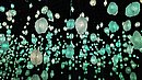 20221124_184732.JPG