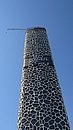 20221125_124149.JPG