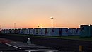 20221126_060228.JPG