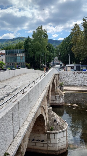20240810_124530.JPG