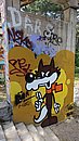20240811_144036.JPG
