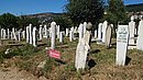 20240812_142148.JPG