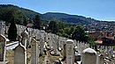 20240812_142455.JPG