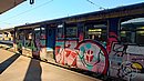 20240813_065048.JPG
