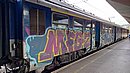 20240813_065100.JPG