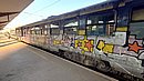 20240813_065107.JPG