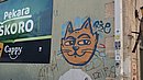 20240813_095054.JPG