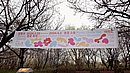 20240329_115508.JPG