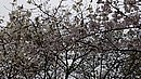 20240329_124236.JPG