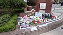 20240401_140149.JPG