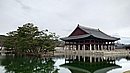 20240403_130109.JPG