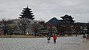 20240403_144713.JPG