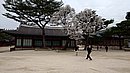 20240403_165817.JPG