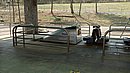20240404_123137.JPG