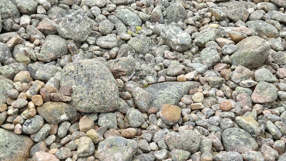 20250713_135708.jpg