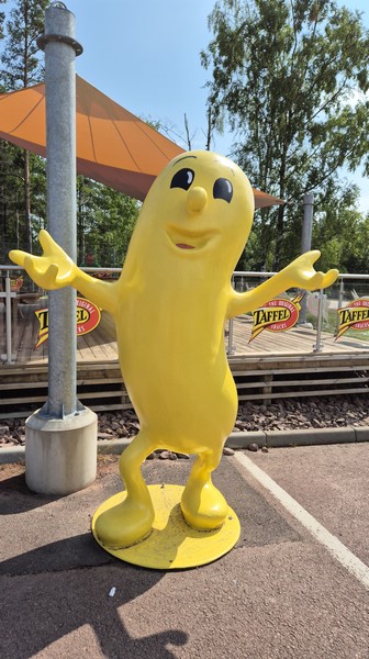 20250715_142950.jpg