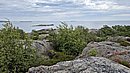 20250713_143914.jpg