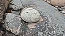 20250713_150735.jpg