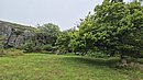 20250714_103720.jpg
